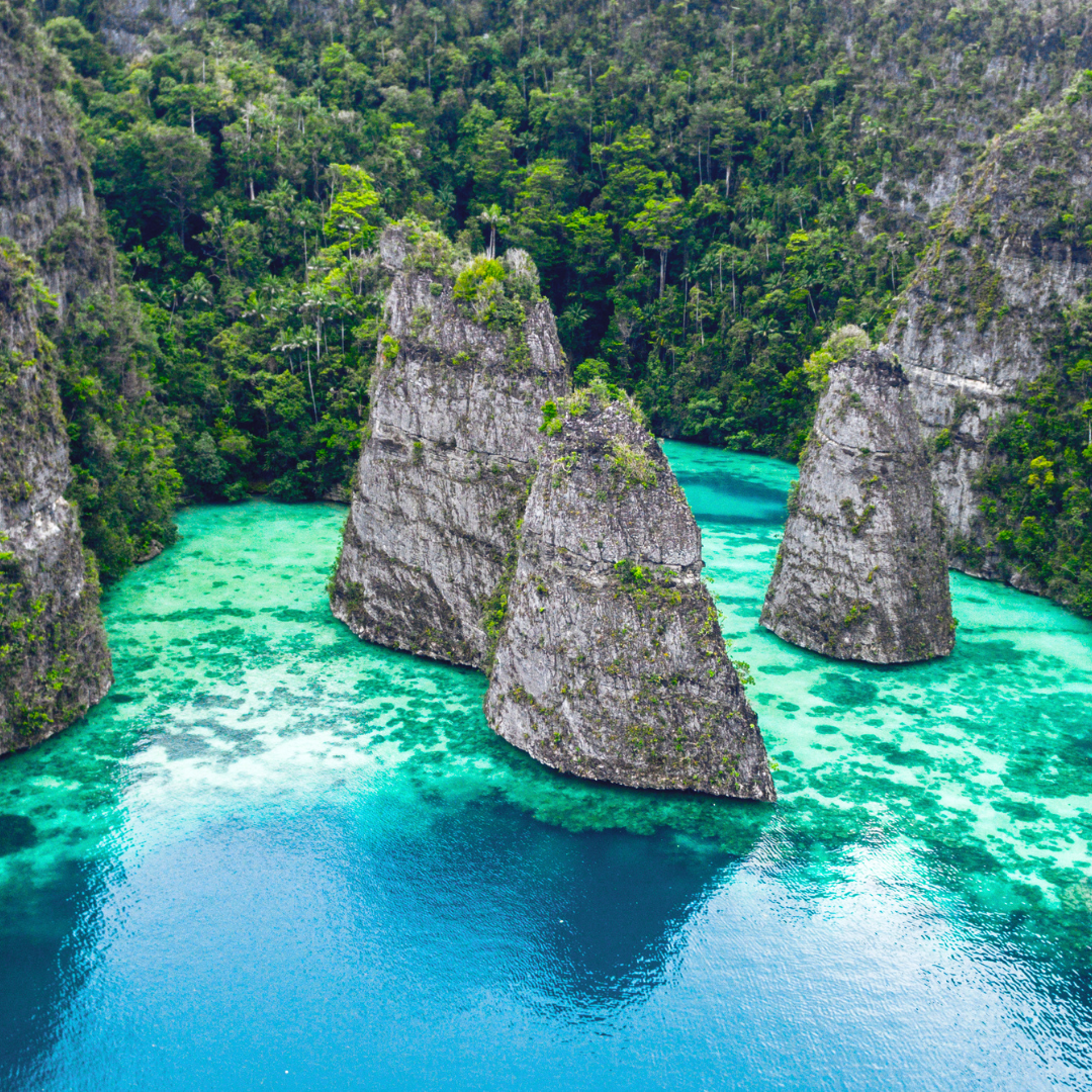 A tropical sea cost with green bushes, rocks and blue water.