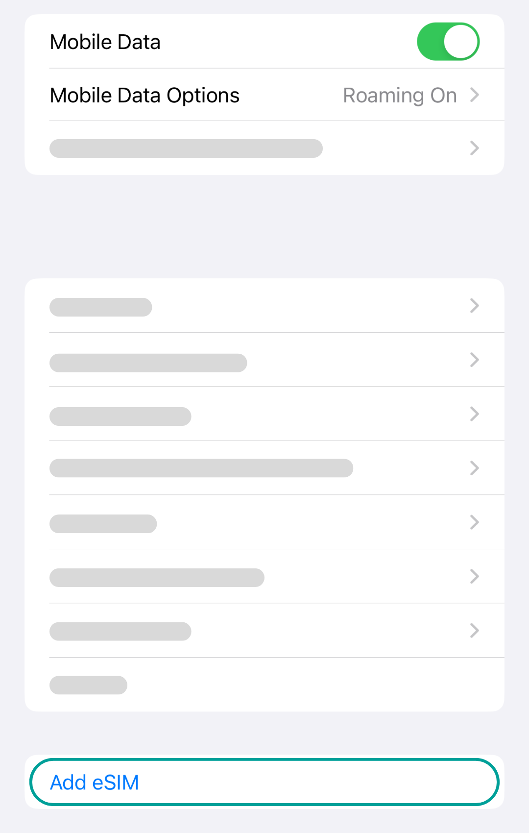 Explanation how to set up an eSIM for an iPhone mobile device.