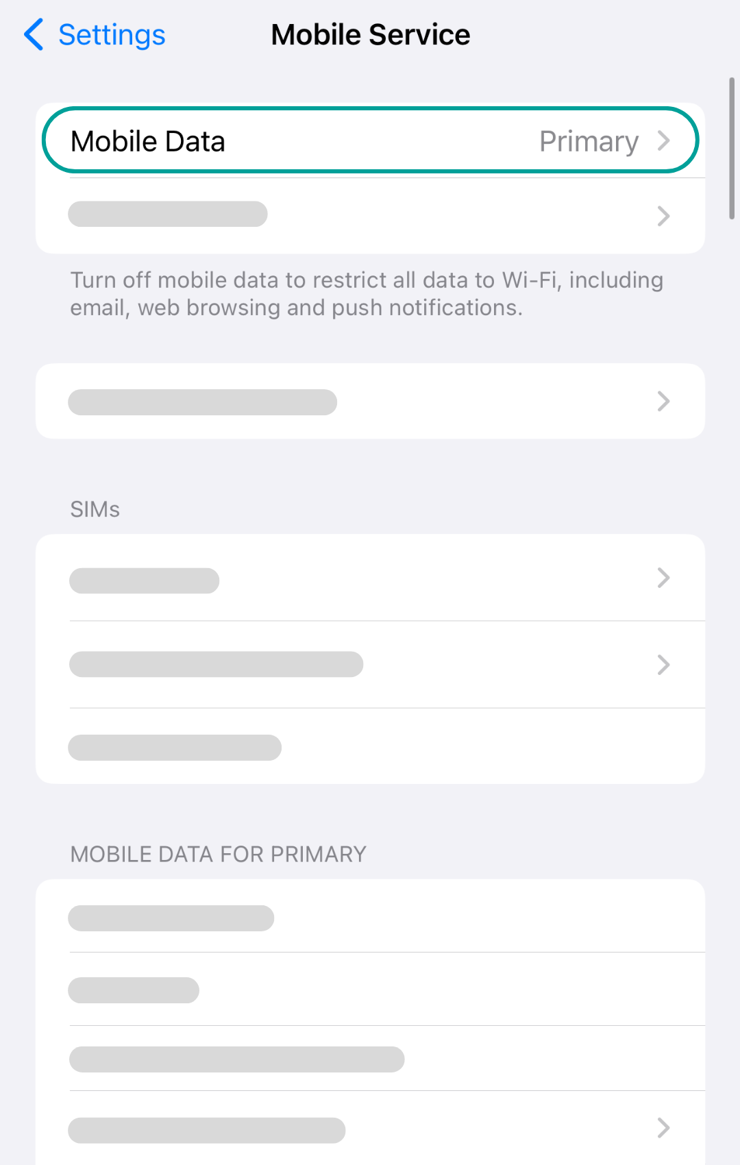 Explanation how to set up an eSIM for an iPhone mobile device.