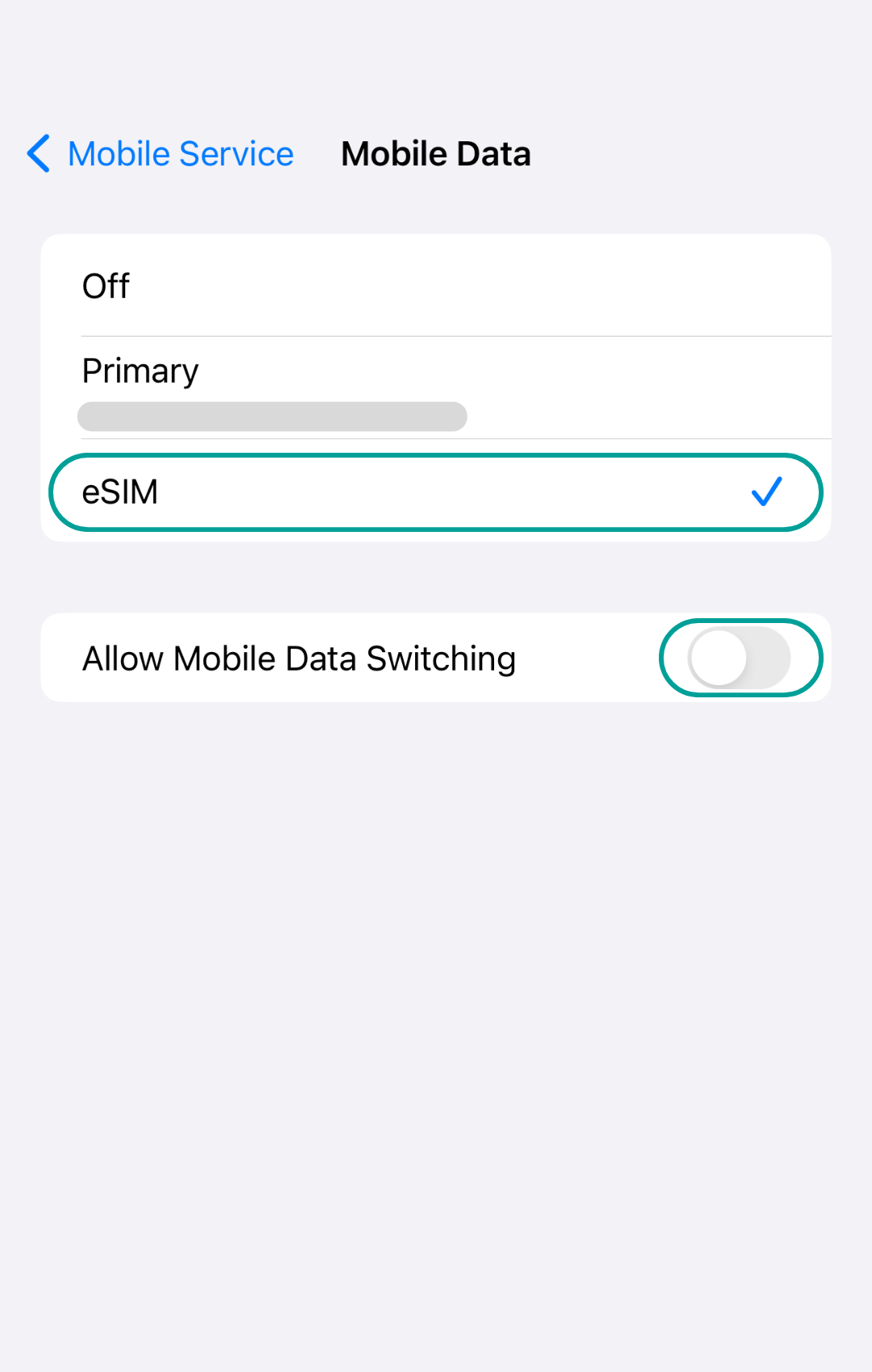 Explanation how to set up an eSIM for an iPhone mobile device.