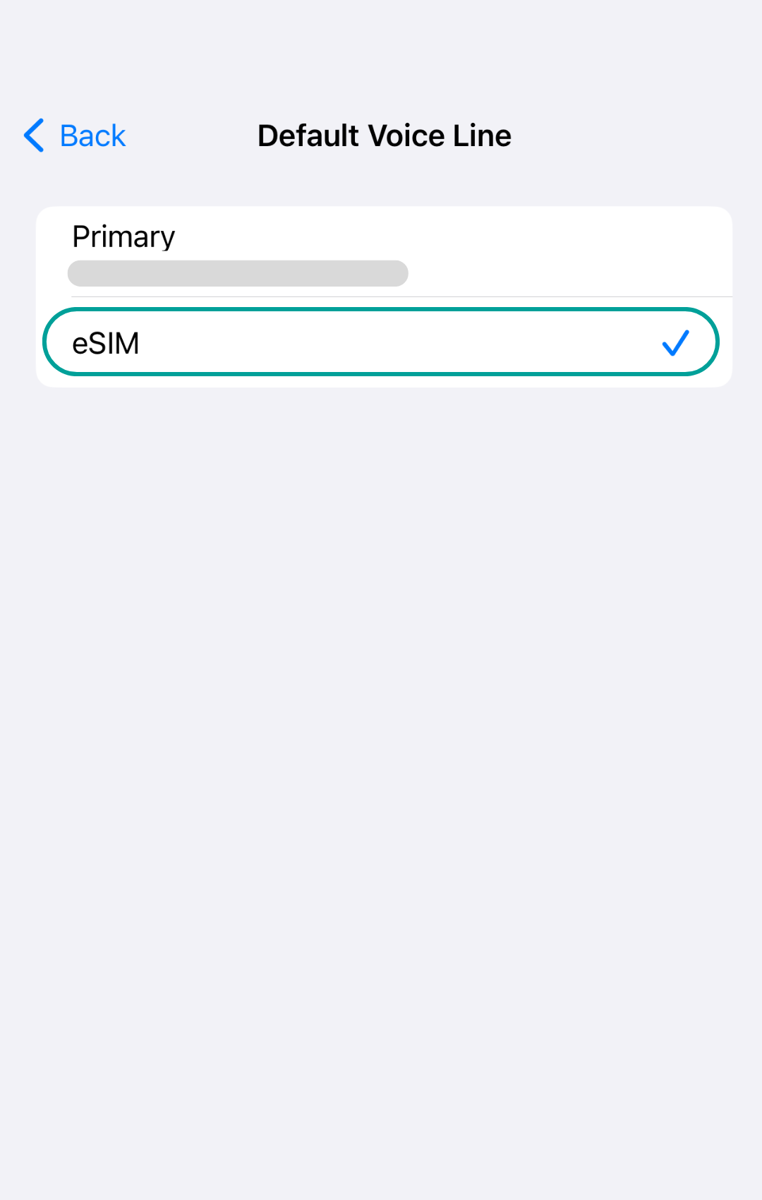 Explanation how to set up an eSIM for an iPhone mobile device.