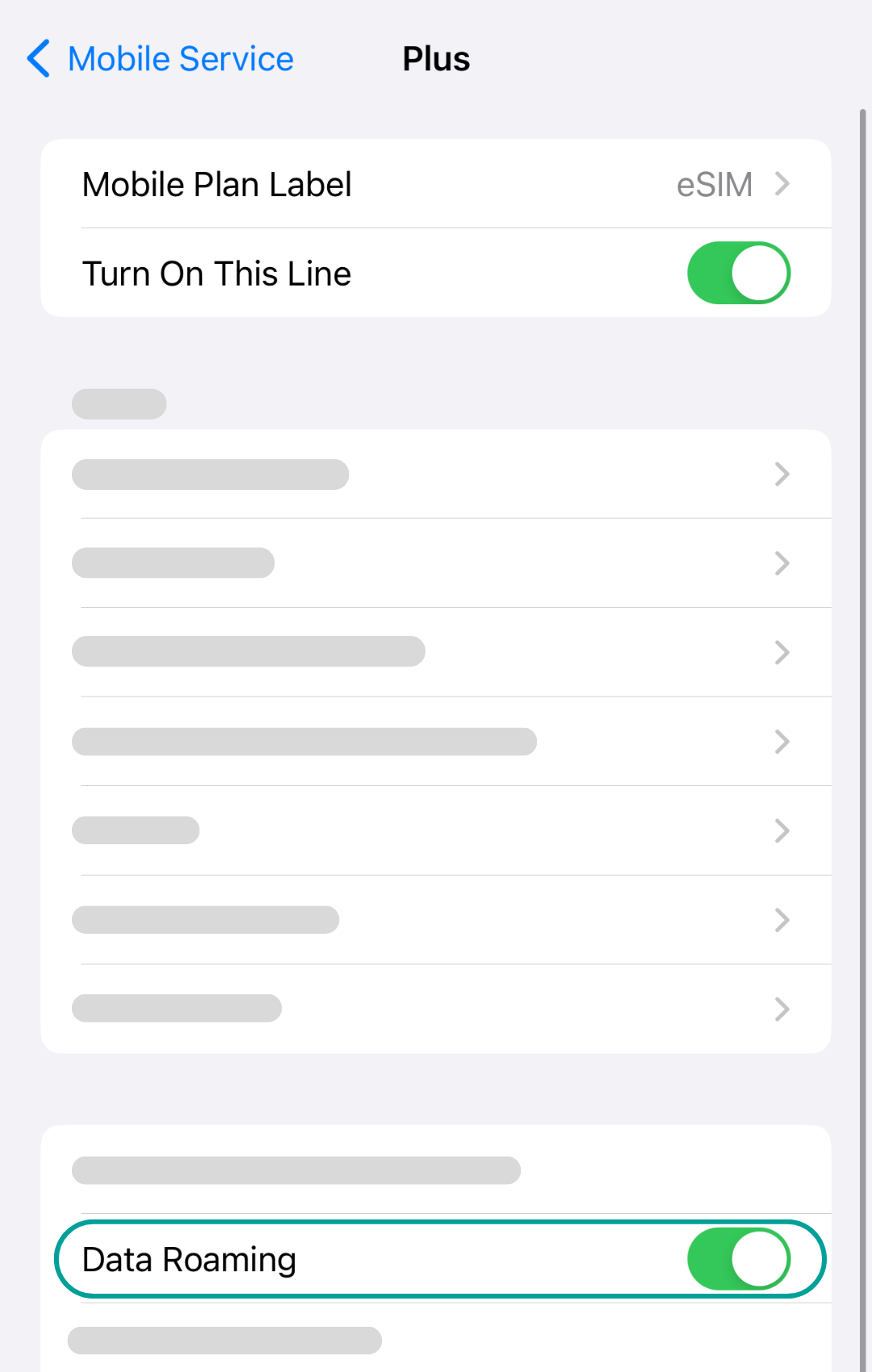 Explanation how to set up an eSIM for an iPhone mobile device.