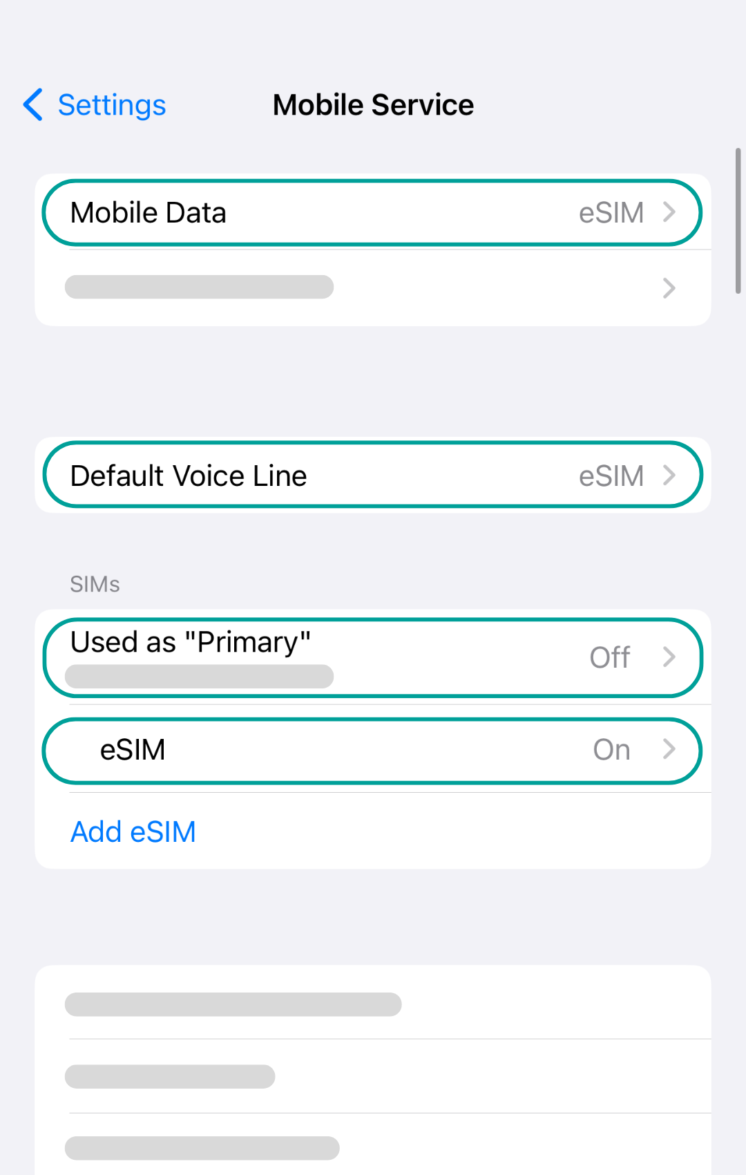 Explanation how to set up an eSIM for an iPhone mobile device.