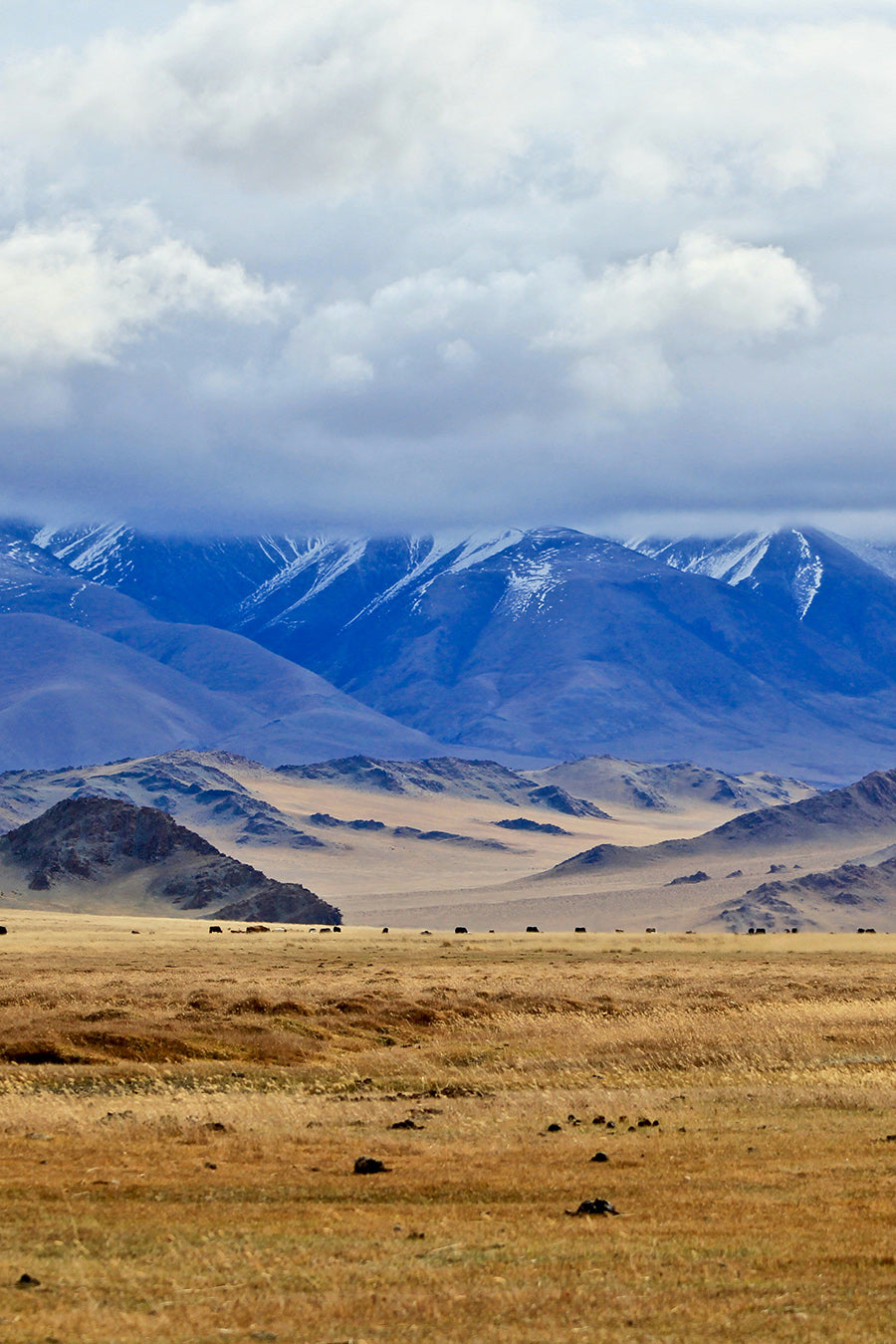 Mongolia