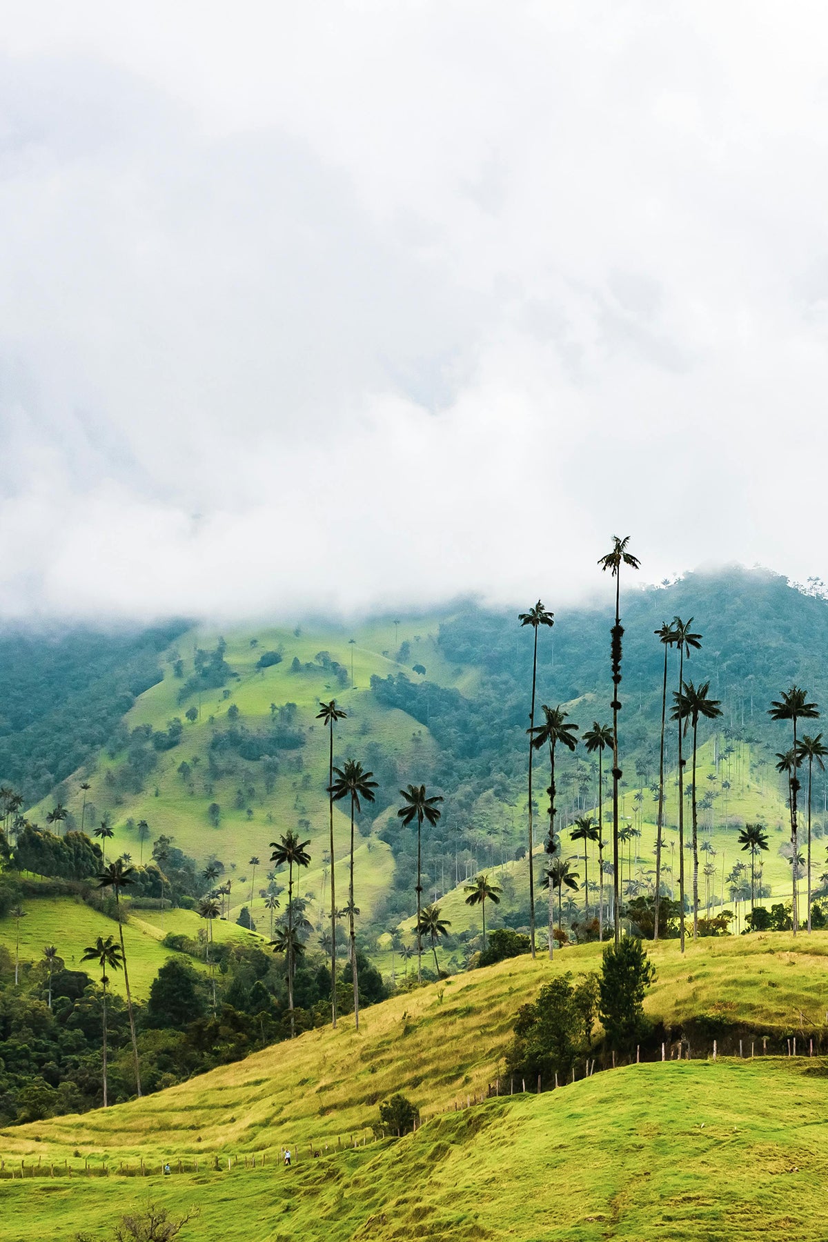 Colombia