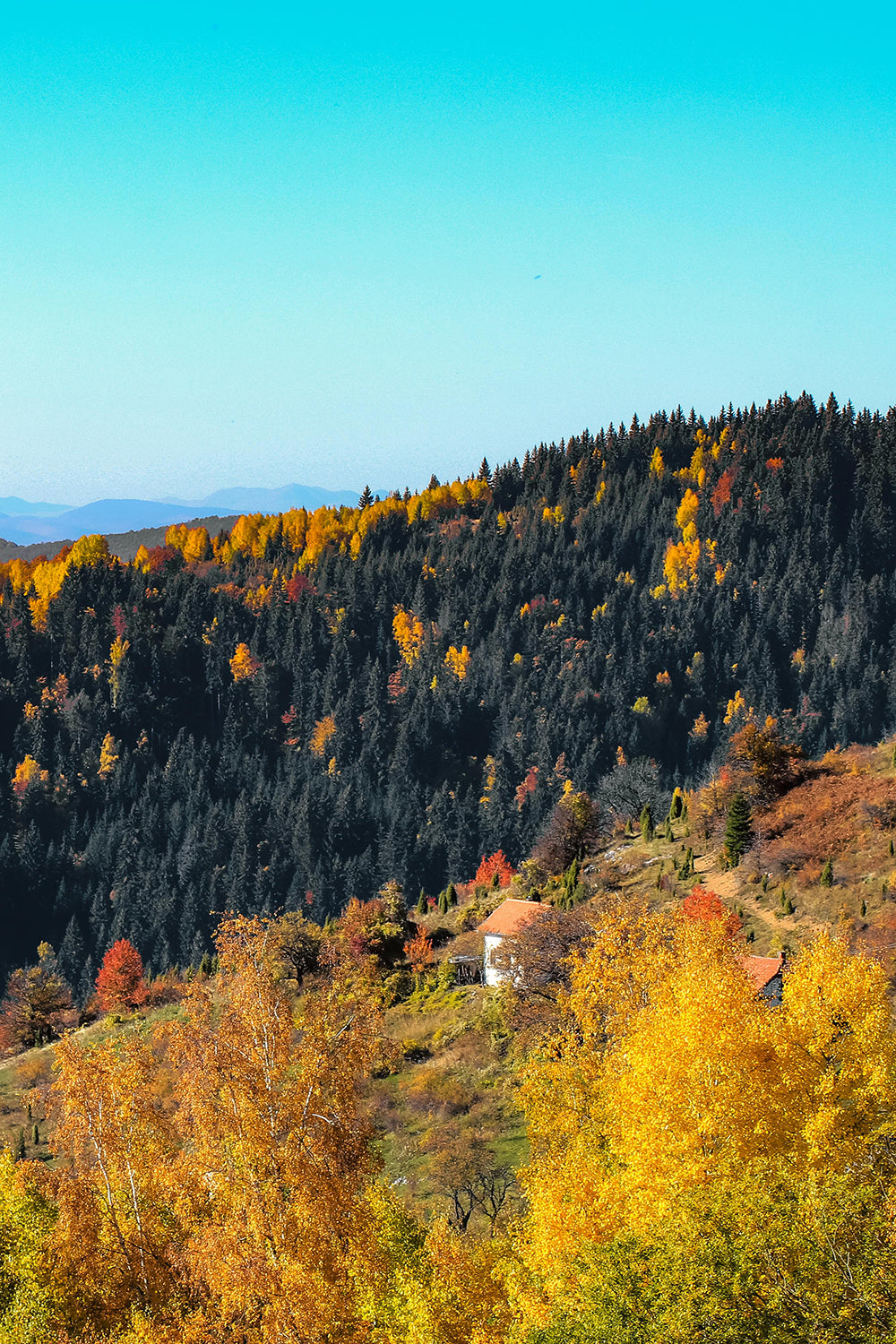 Bosnia And Herzegovina
