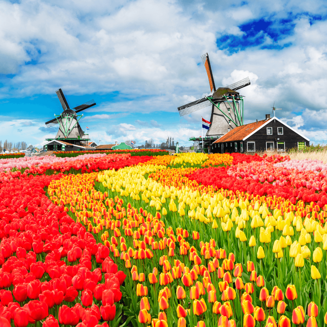 Netherlands