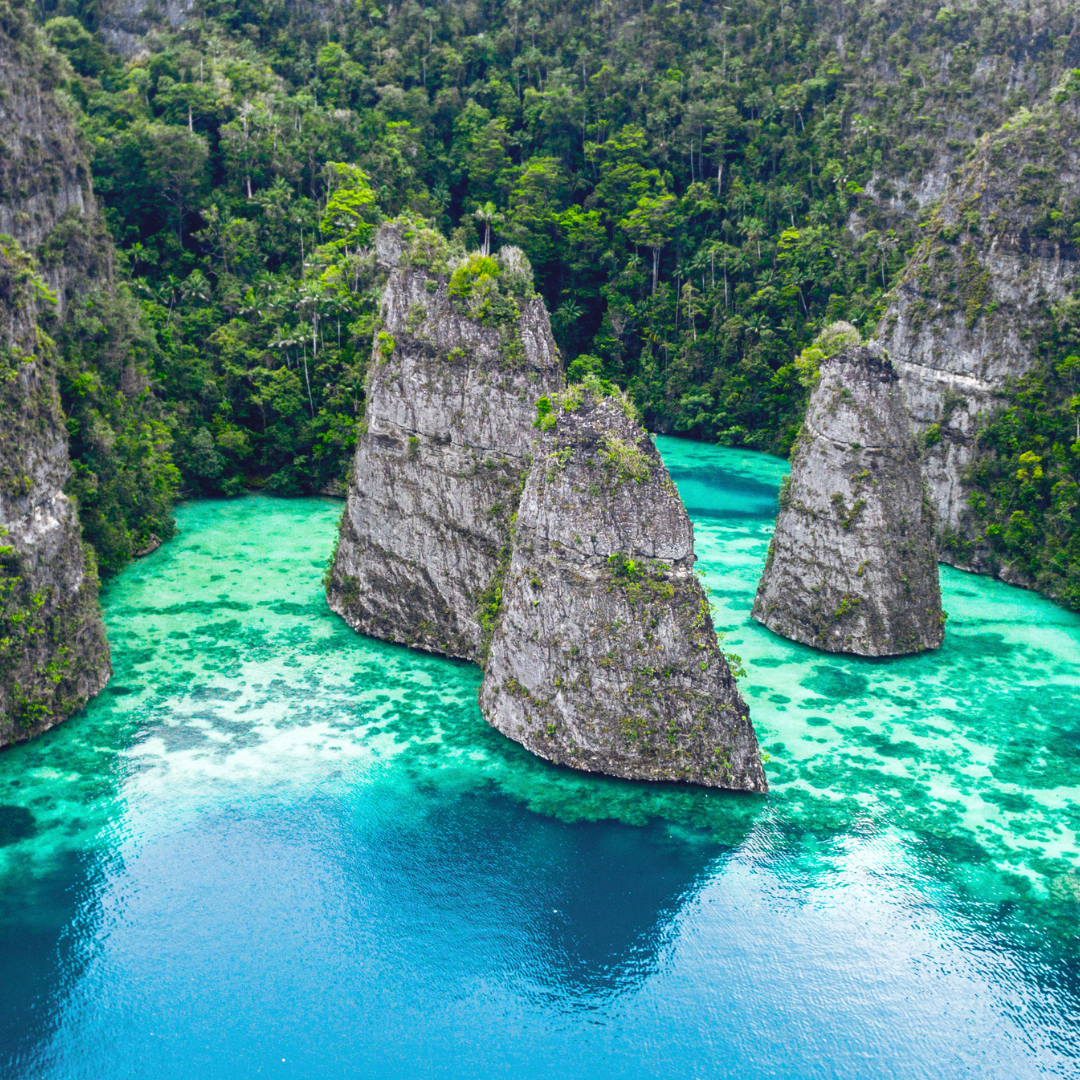 A tropical sea cost with green bushes, rocks and blue water. 