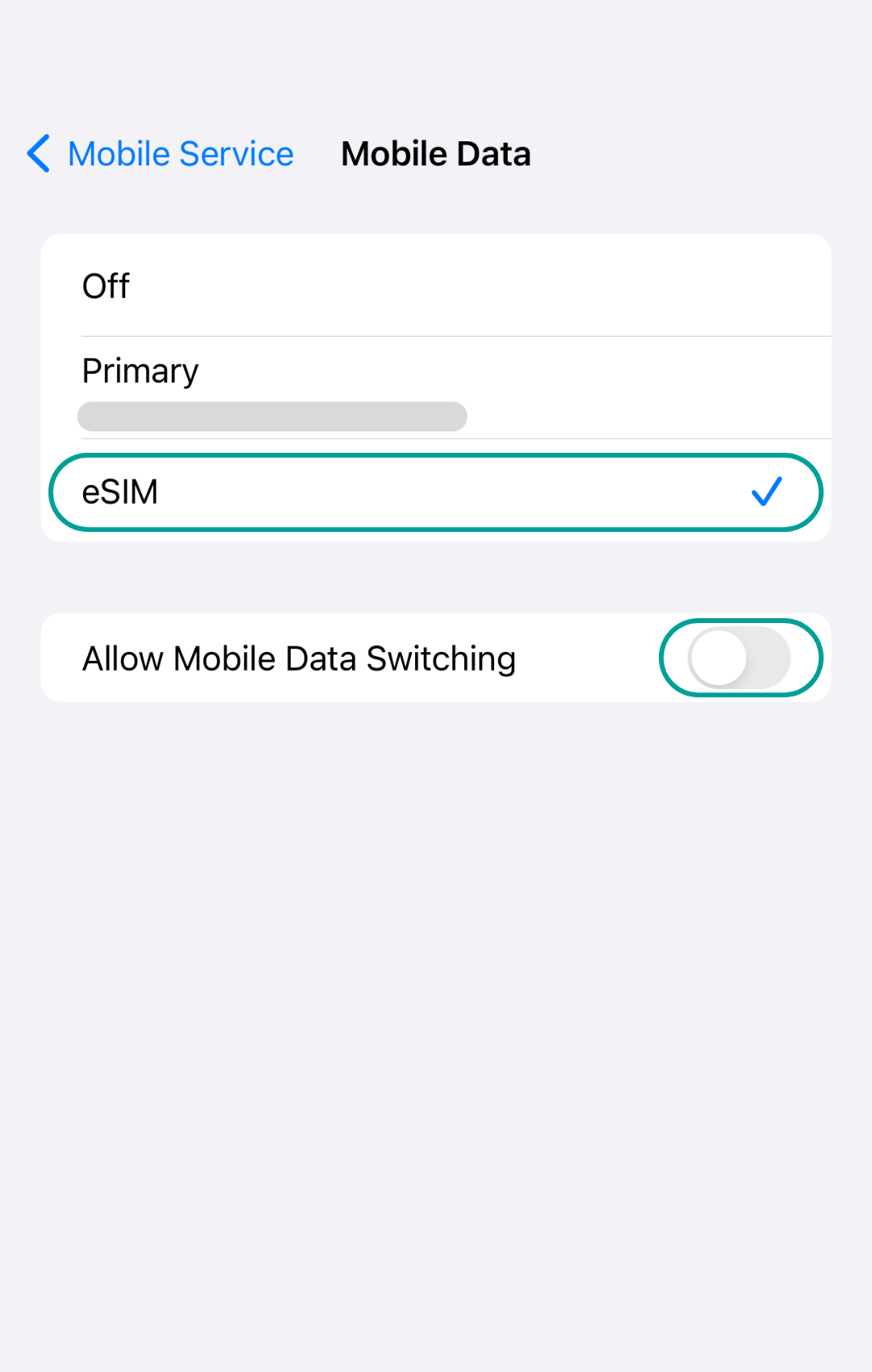 Explanation how to set up an eSIM for an iPhone mobile device. 