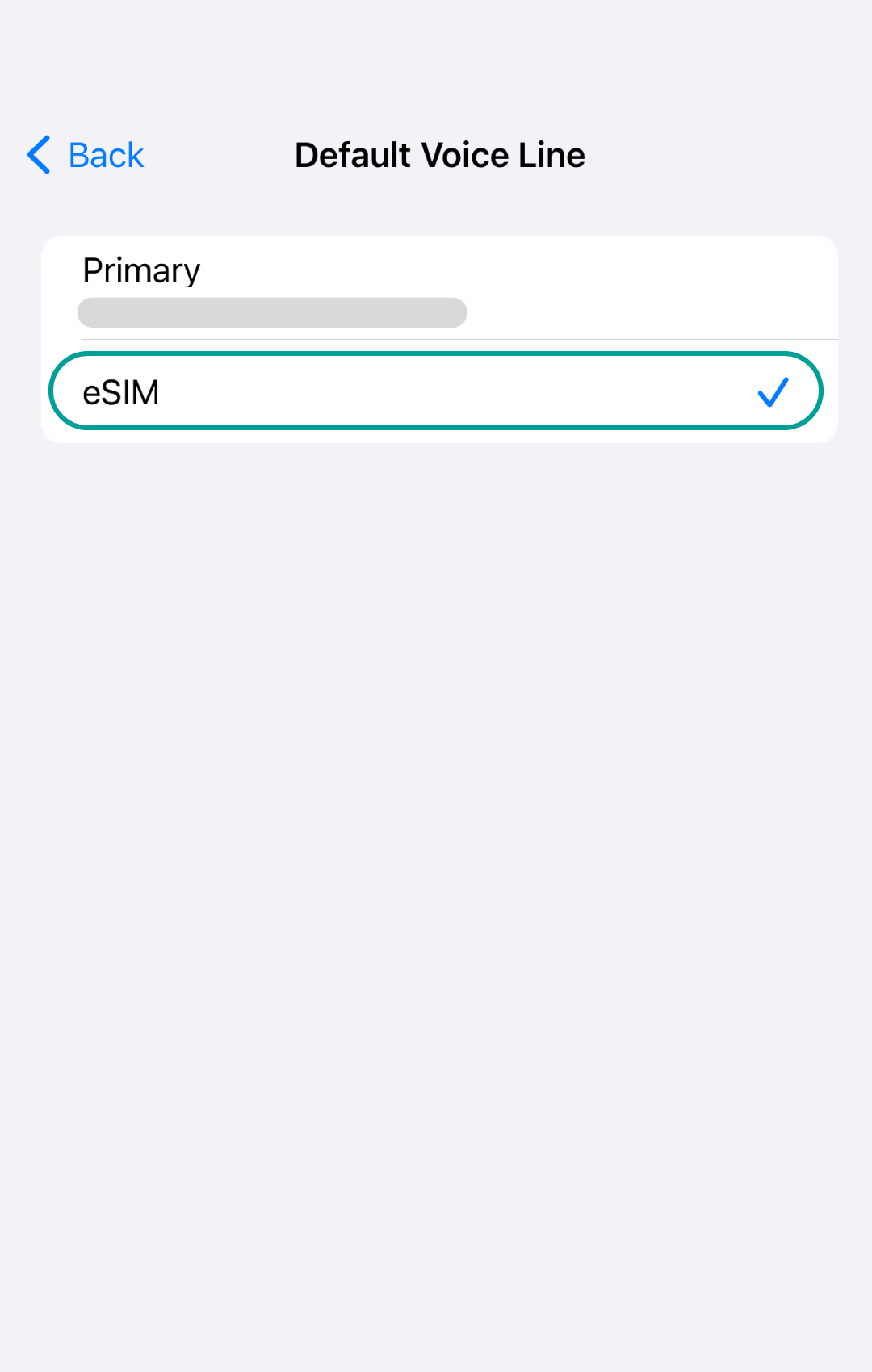 Explanation how to set up an eSIM for an iPhone mobile device. 